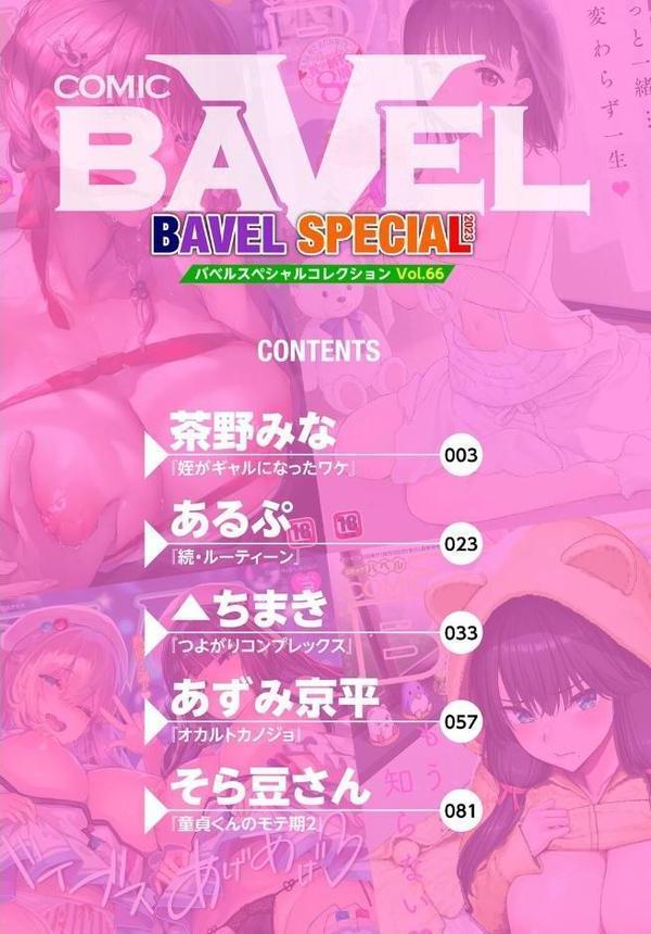 COMIC BAVEL SPECIAL COLLECTION（コミックバベル スペシャルコレクション）VOL66 エロ画像 002